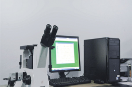 Metallographic image analysis system